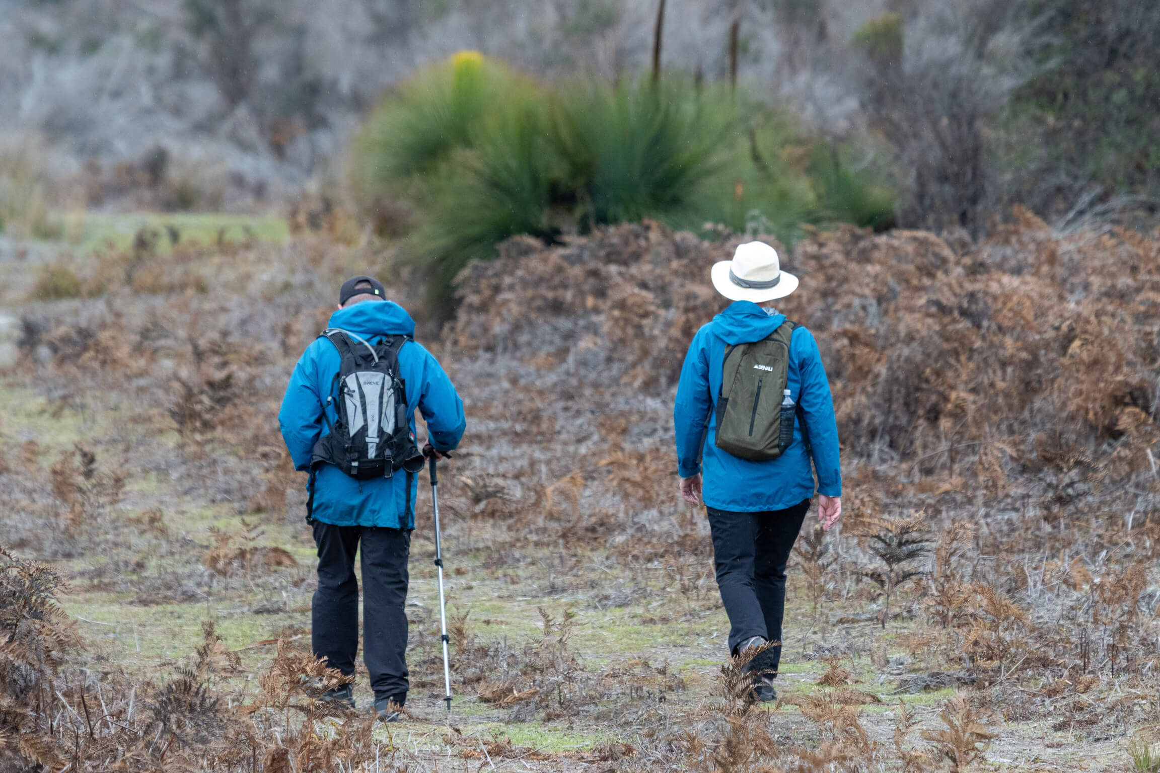 Two hikers wearing blue jackets and backpacks walking on a trail through dry vegetation.